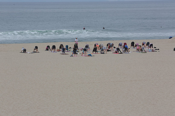 RAG_0533